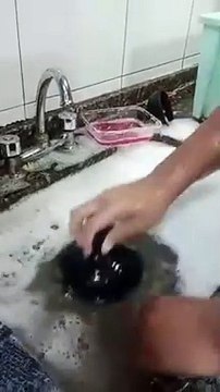 La meilleure façon de déboucher un évier... ou presque