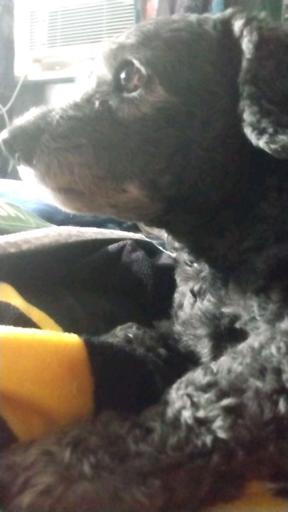 millie