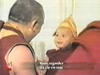 Réincarnation d'un lama (vhs médiocre)