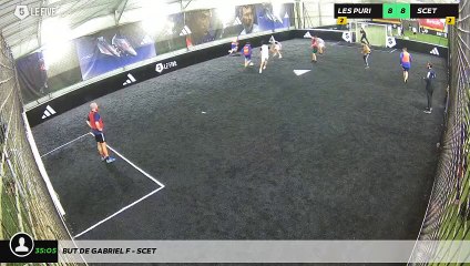 But de Gabriel F - Scet