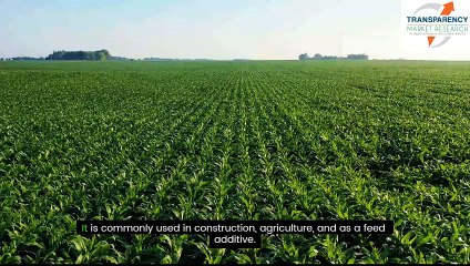 The Future of the Calcium Formate Market: Trends to Watch