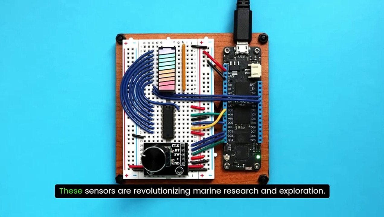 Why SQUID Sensors Are Gaining Popularity in 2024