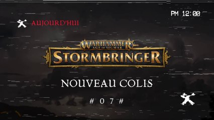 Colis N°07 -  AOS - StormBringer - Coll. Hachette - Fascicules 20-23 et Goodies - NTGN [FR]