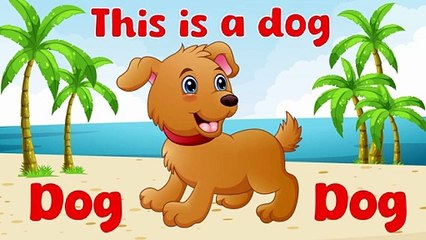 Learn Animals Name | Animals For Kids | Animals Name | Educational Video For Kids