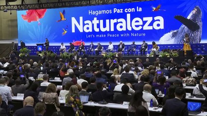 "Crisis existencial": jefe de la ONU alerta sobre la destrucción de la naturaleza en COP16