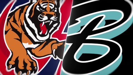 Tigres de Aragua vs Bravos de Margarita | 29 de octubre 2024