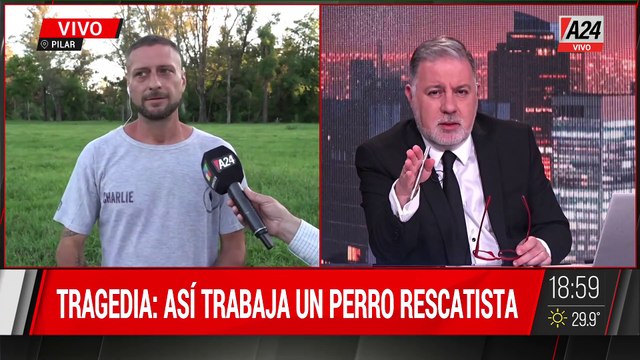 DERRUMBE VILLA GESELL: ASÍ TRABAJAN LOS PERROS RESCATISTAS PARA ENCONTRAR PERSONAS