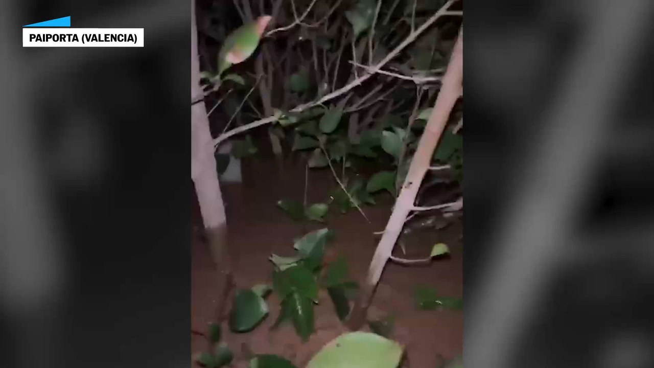 Personas atrapadas por la dana en Valencia piden rescate en las redes sociales