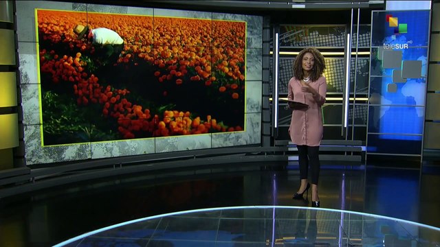 Temas del Día 29/10/24: Israel aprueba ley que prohíbe que la UNRWA operar en territorios palestinos