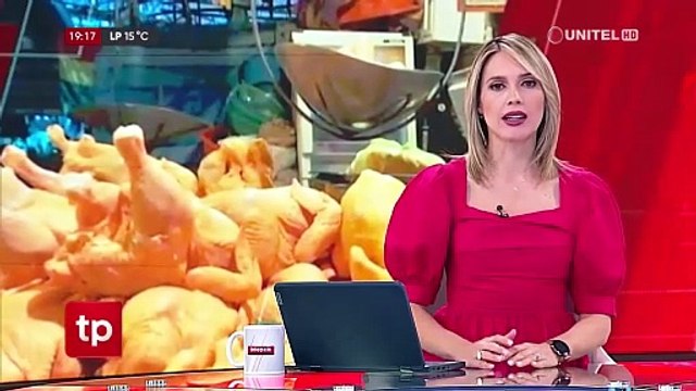 Crisis avícola en Cochabamba: 13 millones de pollos y gallinas están en riesgo de muerte