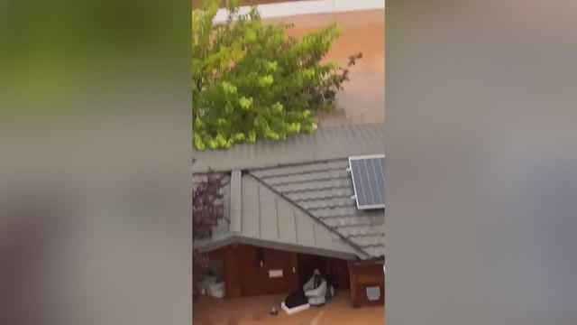 El rescate de película de una mujer, su perro y su gato atrapados por la Dana