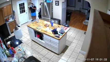 Family Gets Surprised by Rogue Bat Flying Into Their House