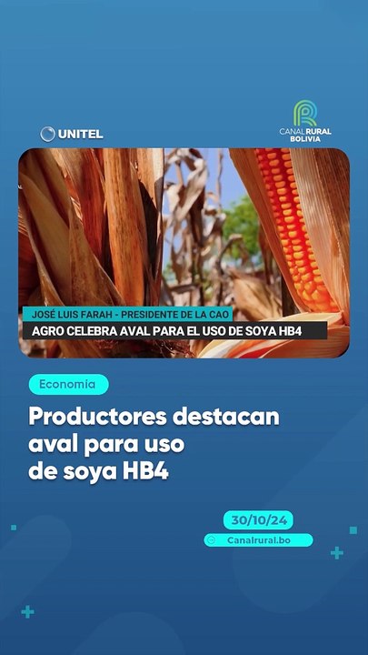 Productores destacan aval para uso de soya HB4