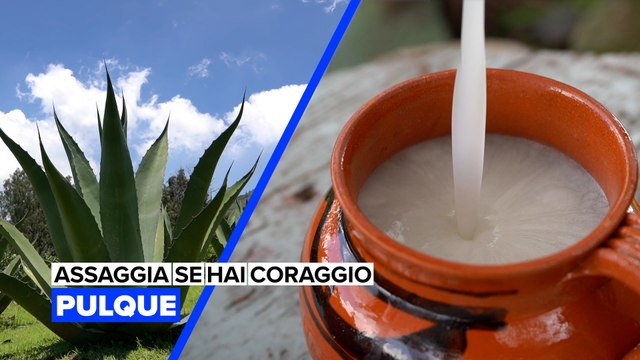 Assaggia se hai coraggio: Pulque