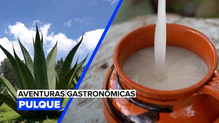Aventuras Gastronômicas: Pulque