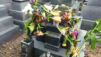 Christian Graves in Japan