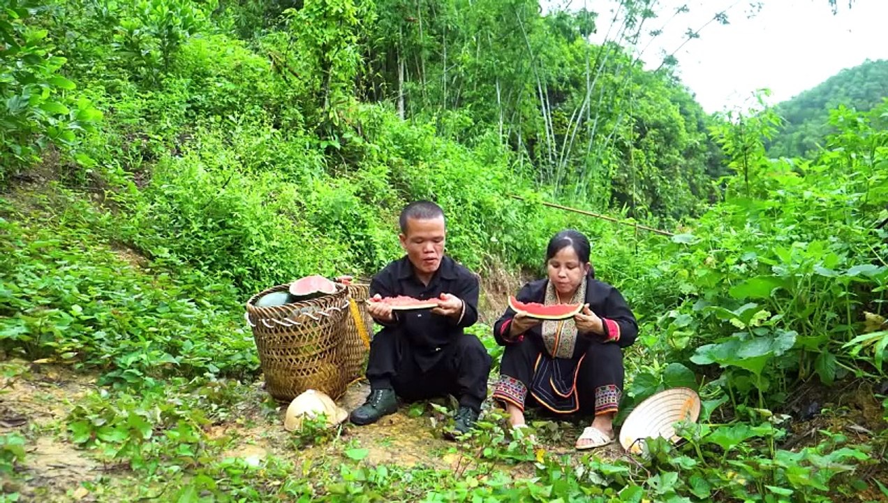 Dwarf family harvests watermelons goes to market sell - takes care of the goats and chickens