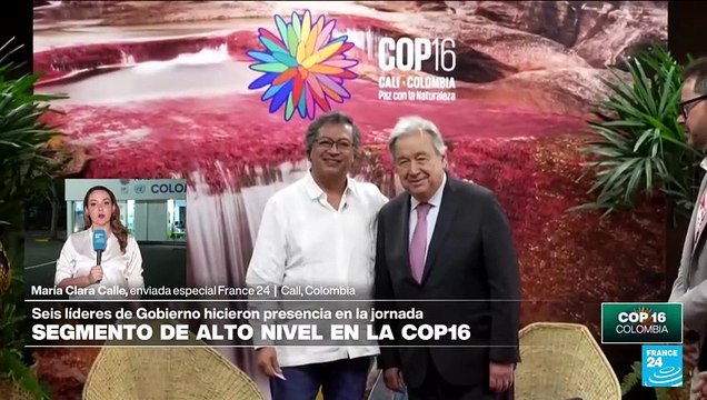 Informe desde Cali: los temas discutidos en el segmento de alto nivel en la COP16