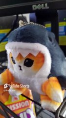 Martha me regalo un gatito disfrasado de tiburon , el coyote calamidad y #Botanas #shorts #mission