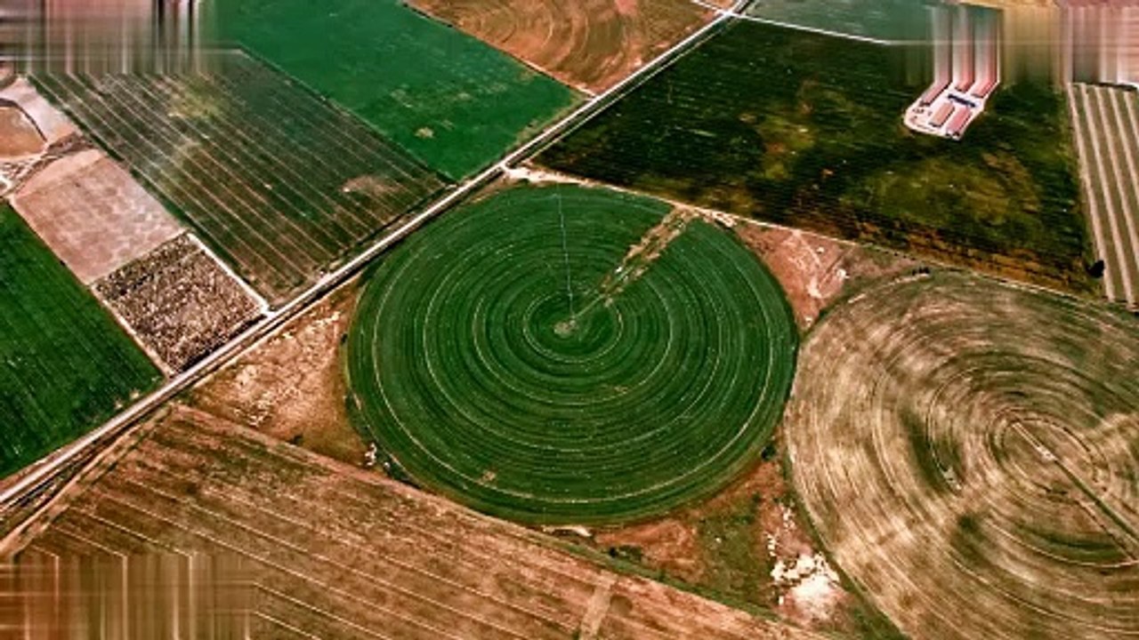 Australia’s Cotton Industry- Embracing Ethical and Sustainable Trading Practices | Scott Biffin