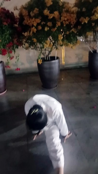 Taekwondo, tkd 20241028_183840