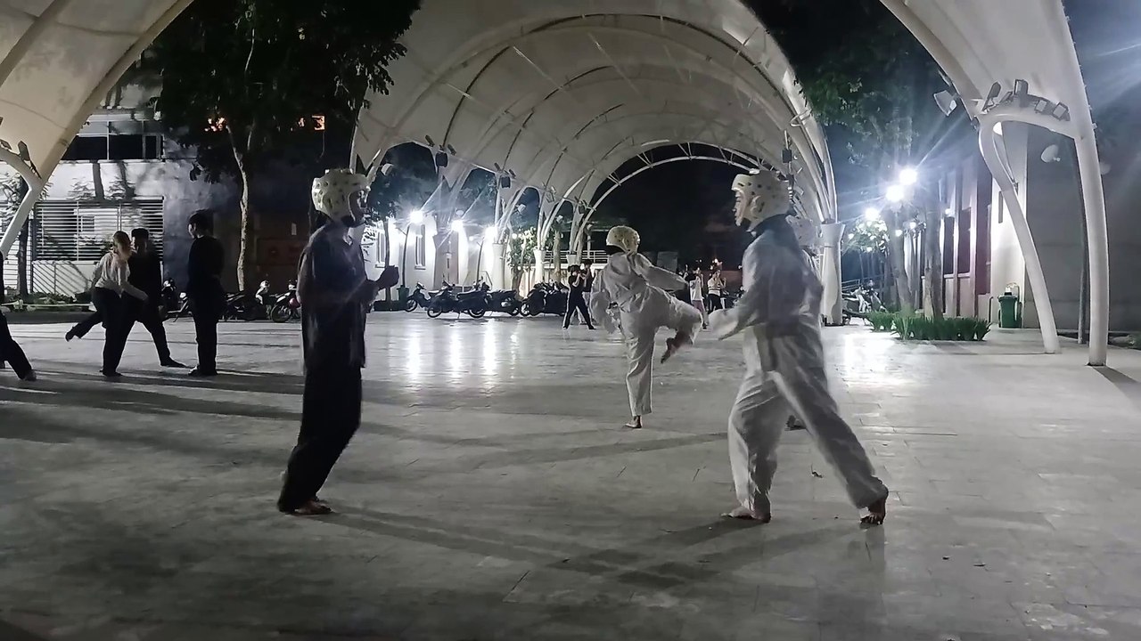 Taekwondo, tkd 20241028_193951