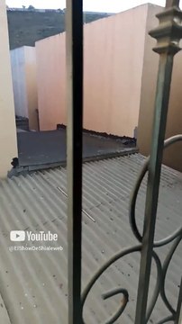 Las palomas de el cerro de los misterios ya llegaron y andan saliendo de su panal #shorts #aves