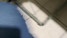 Mi Gato Pernanca Visita la Oficina para Jugar y Pasarla Bien ¡Amigo Peludo!  #Shorts