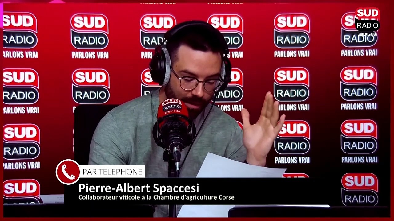 "J'ai eu peur de mourir" : Disparu depuis 2 jours, Pierre-Albert Spaccesi est retrouvé sain et sauf, il témoigne