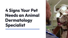 Pet_Skin_Care_Essentials