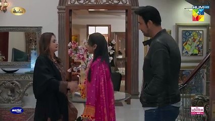 Jafaa - Ep 24 - 1st Nov 2024  - HUM TV