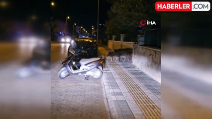 Marmaris'te Yaban Domuzları Şehir Sokaklarında Geziyor