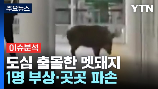 70대 할머니 뺑소니 차량에 잇따라 치여 참변...피의자의 수상한 행적 [Y녹취록] / YTN