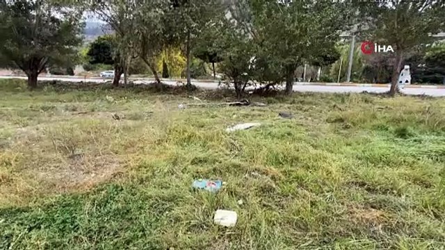 Tokat'ta ağaca çarpan Tofaş ortadan ikiye ayrıldı! 2 kişi hayatını kaybetti!