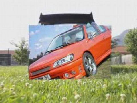 306% peugeot 306