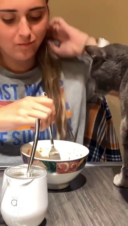 He Just Added Some Extra Flavor, Nothing Much