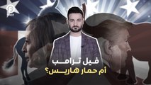 فيل ترامب أم حمار هاريس؟