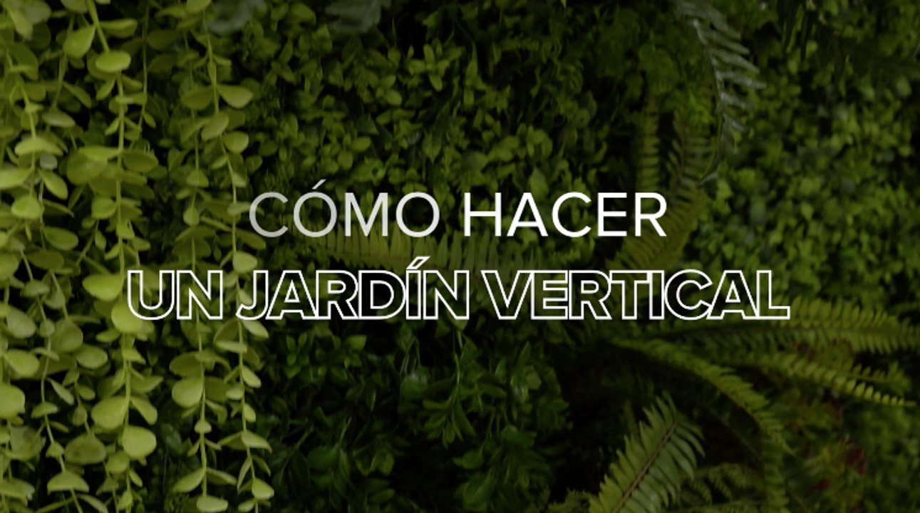 Cómo hacer un jardín vertical en casa y transformar tus paredes en oasis verdes