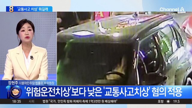 문다혜 ‘교통사고치상’ 혐의…처벌 수위 어느 정도?