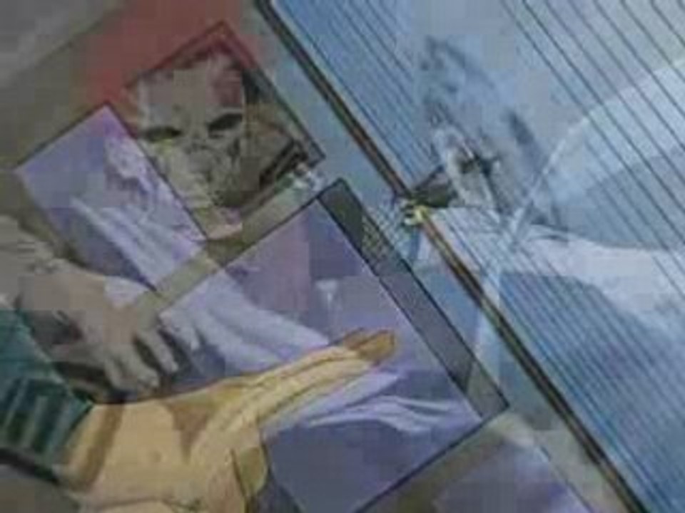 Gaara project