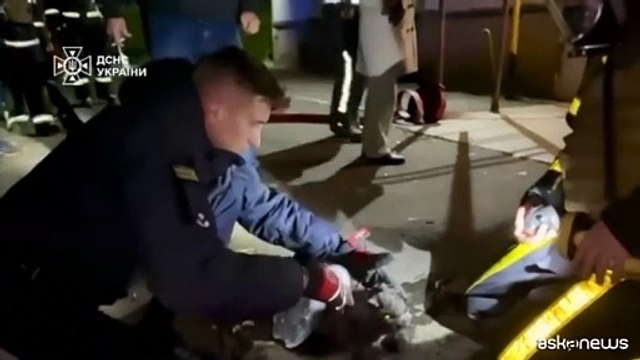 Il micio salvato a Kiev da un palazzo colpito da un drone russo