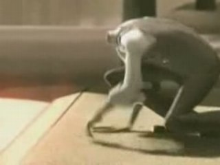 The pretty unlucky head