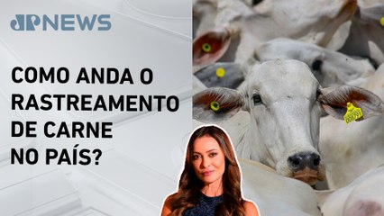 Rastreabilidade da carne bovina vira prioridade no Brasil; Patrícia Costa analisa