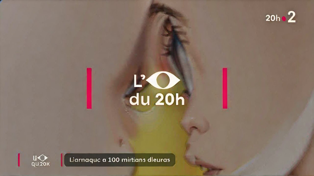 Kiabi : une fraude de 100 millions d'euros révélée