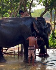 Το βίντεο της Μαρίας - Ολυμπίας από την Ταϊλάνδη