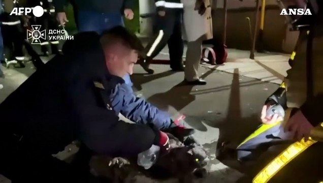 Kiev, edificio colpito da un drone russo: gattino salvato ed estratto dalle macerie