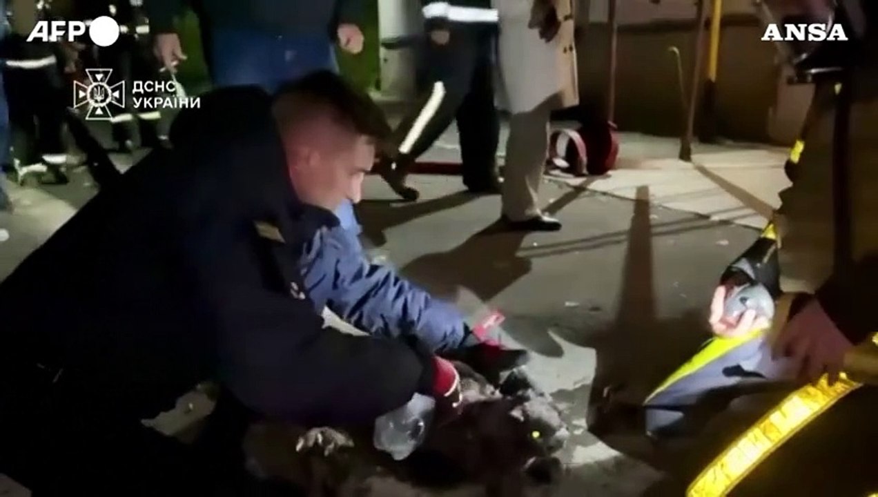 Kiev, edificio colpito da un drone russo: gattino salvato ed estratto dalle macerie