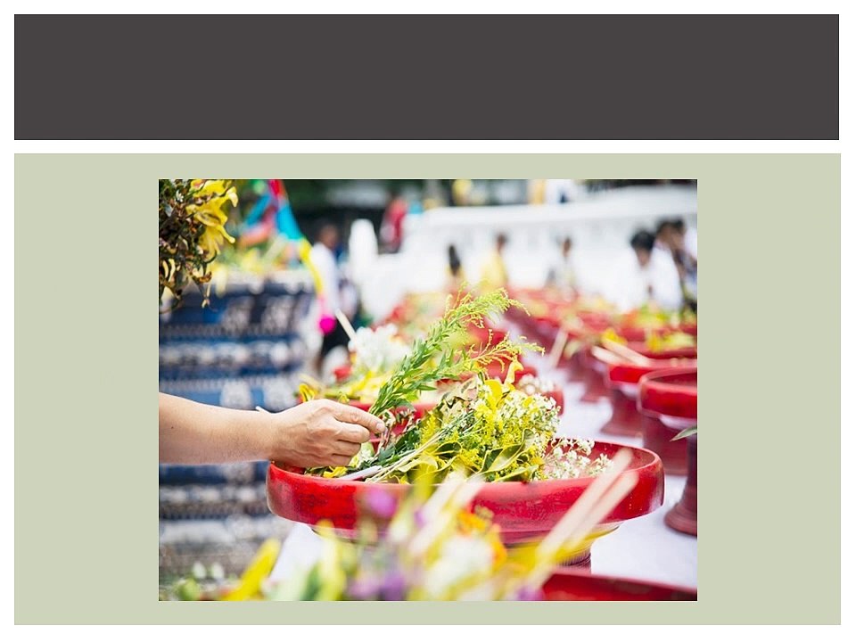 Shaping Tomorrow’s Cuisine: Ang Chong Yi’s Sustainable Food Vision for Singapore