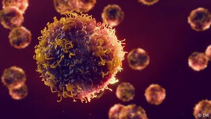 How can you reduce your cancer risk?