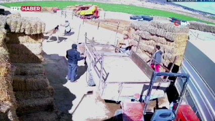 Kızgın boğa ortalığı birbirine kattı